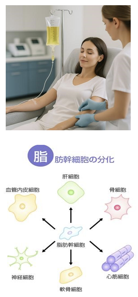 窓際に立つ女性